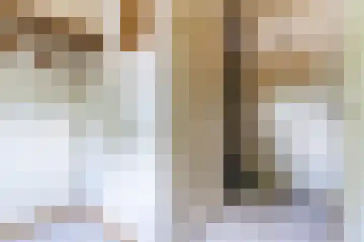 Julianalaan 7 Hapert thumbnail 4