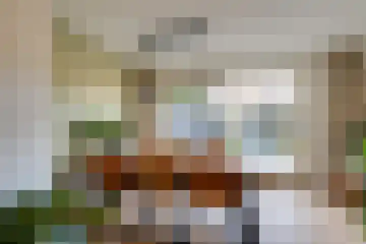 Julianalaan 7 Prinsenbeek thumbnail 14