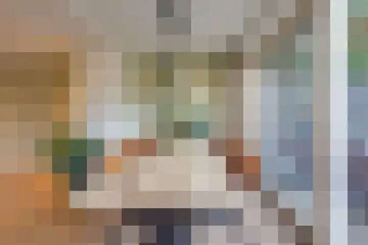 Julianalaan 7 Prinsenbeek thumbnail 15