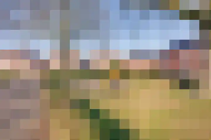 Julianalaan 7 Prinsenbeek thumbnail 18