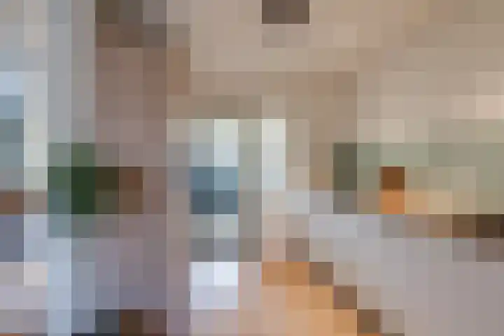 Julianalaan 7 Prinsenbeek thumbnail 23