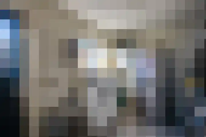 Julianalaan 7 Prinsenbeek thumbnail 25