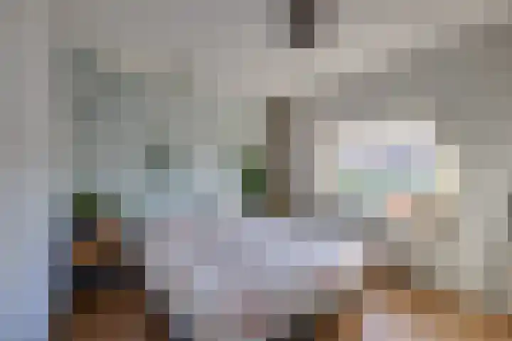 Julianalaan 7 Prinsenbeek thumbnail 27