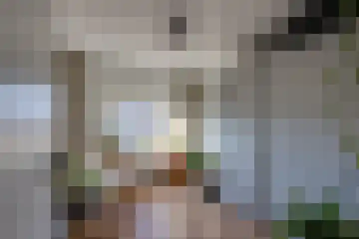 Julianalaan 7 Prinsenbeek thumbnail 32