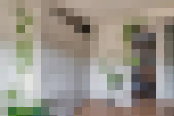 Julianalaan 7 Prinsenbeek thumbnail 34