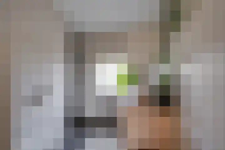 Julianalaan 7 Prinsenbeek thumbnail 35