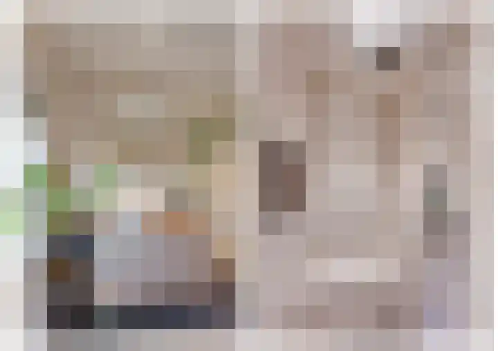 Julianalaan 7 Prinsenbeek thumbnail 36