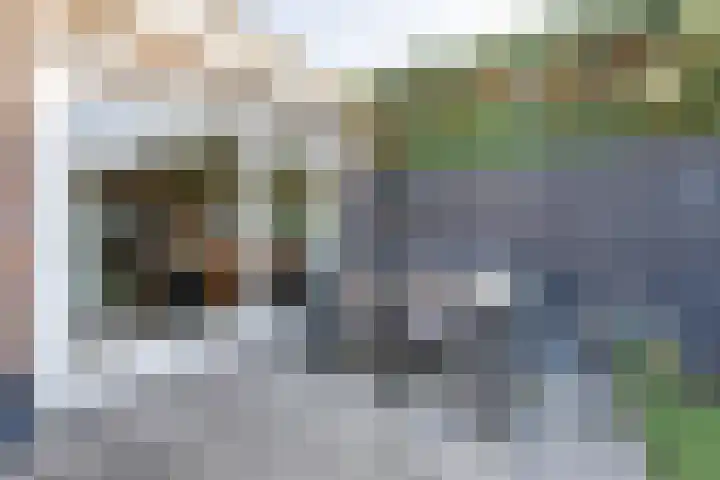 Julianalaan 7 Prinsenbeek thumbnail 43