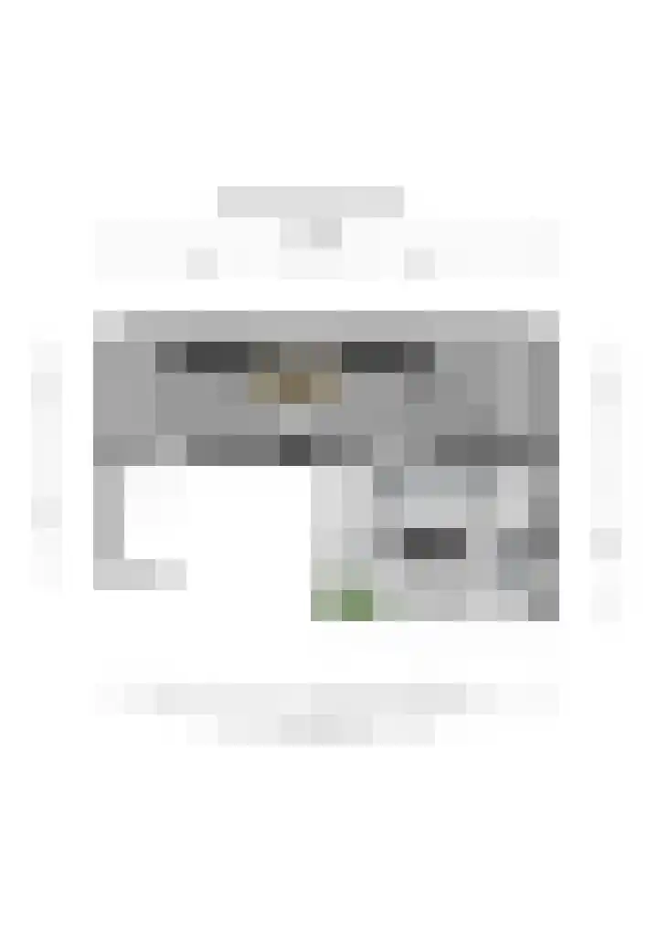 Julianalaan 7 Prinsenbeek thumbnail 47