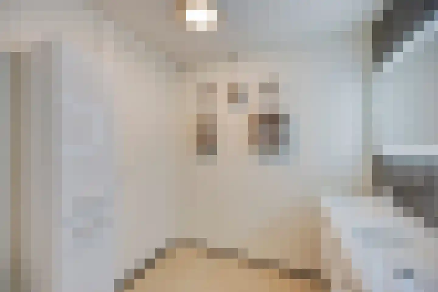 Julianalaan 70 Raamsdonksveer thumbnail 16