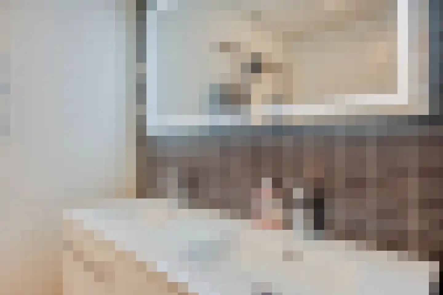 Julianalaan 70 Raamsdonksveer thumbnail 17
