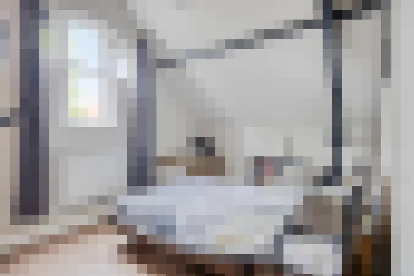 Julianalaan 70 Raamsdonksveer thumbnail 24