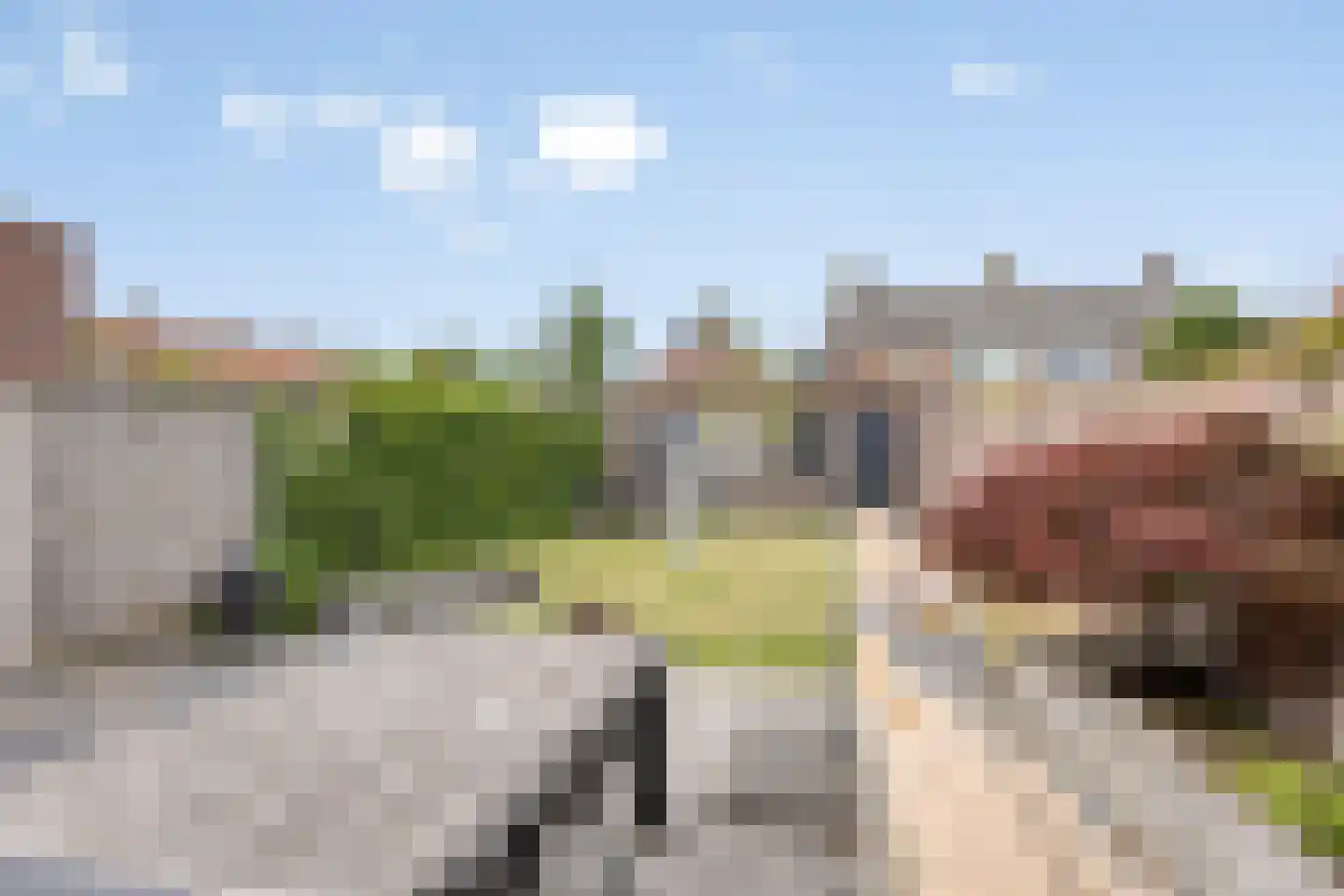 Julianalaan 70 Raamsdonksveer thumbnail 27