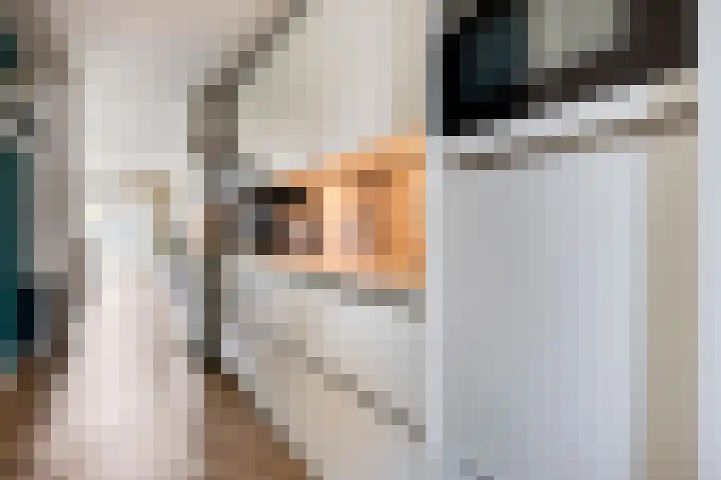 Julianalaan 70 Raamsdonksveer thumbnail 5