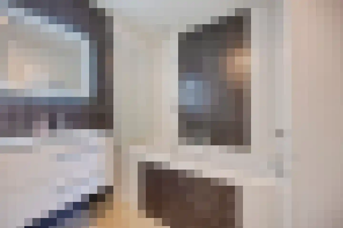 Julianalaan 70 Raamsdonksveer thumbnail 6