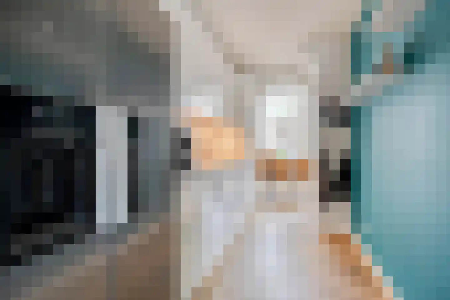 Julianalaan 70 Raamsdonksveer thumbnail 9