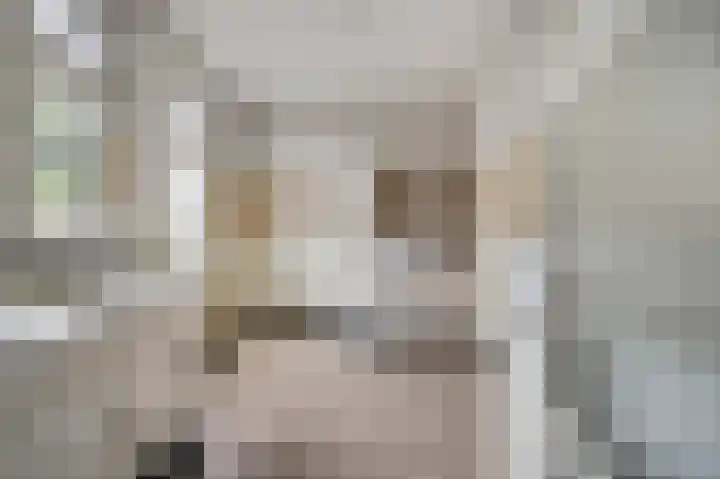 Julianalaan 70 Roermond thumbnail 10