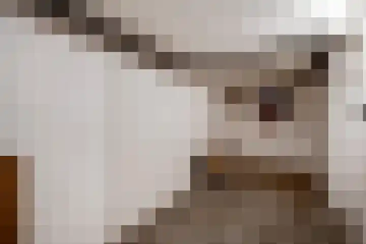 Julianalaan 70 Roermond thumbnail 13