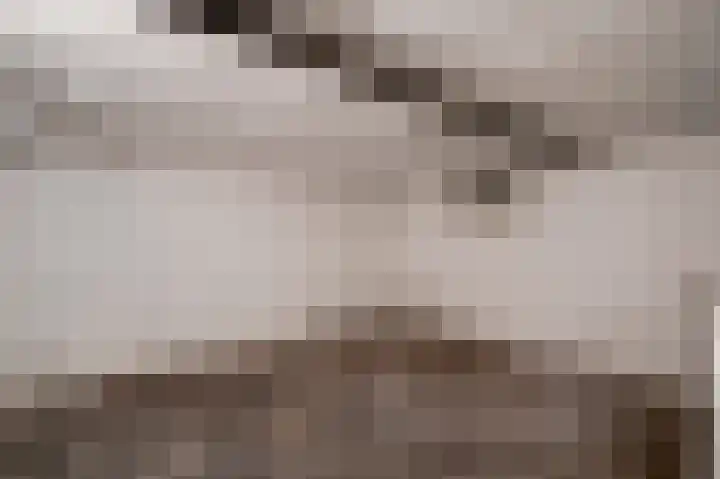 Julianalaan 70 Roermond thumbnail 14