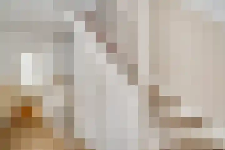Julianalaan 70 Roermond thumbnail 16