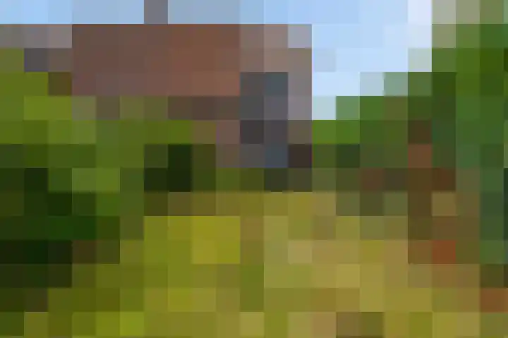Julianalaan 70 Roermond thumbnail 27