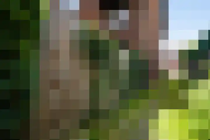 Julianalaan 70 Roermond thumbnail 28