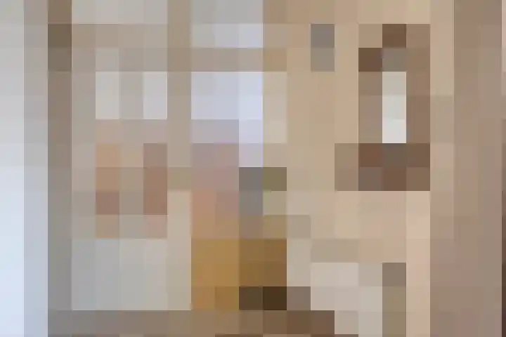 Julianalaan 71 Maasbracht foto 3