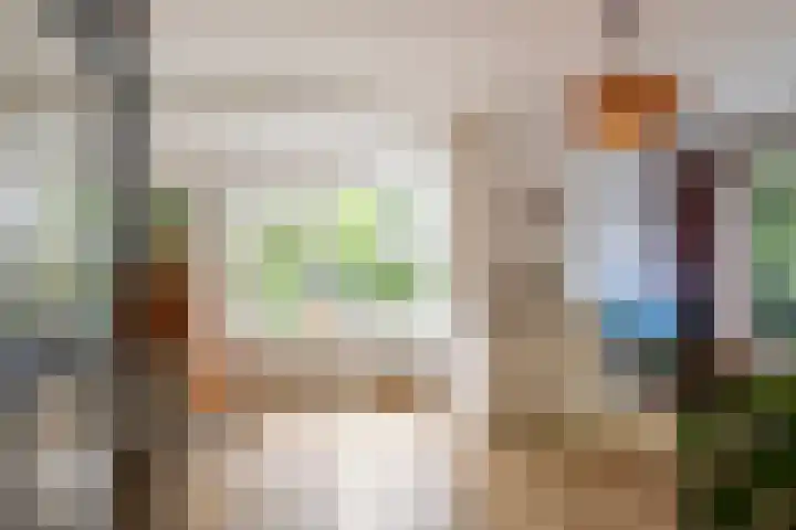 Julianalaan 72 B Schiedam thumbnail 11