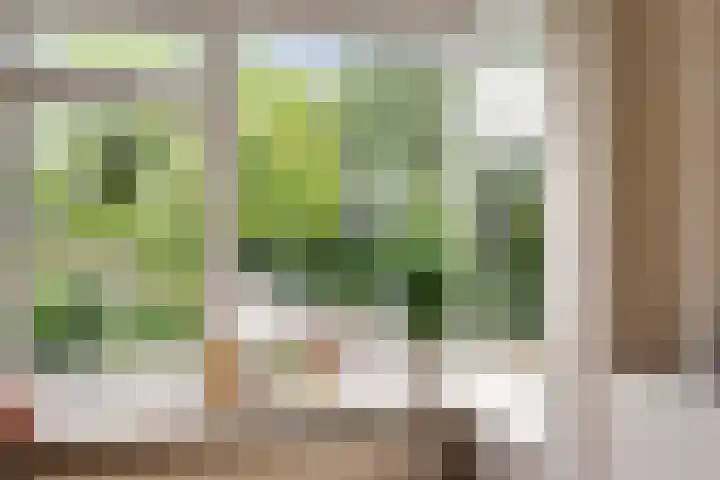 Julianalaan 72 B Schiedam thumbnail 13