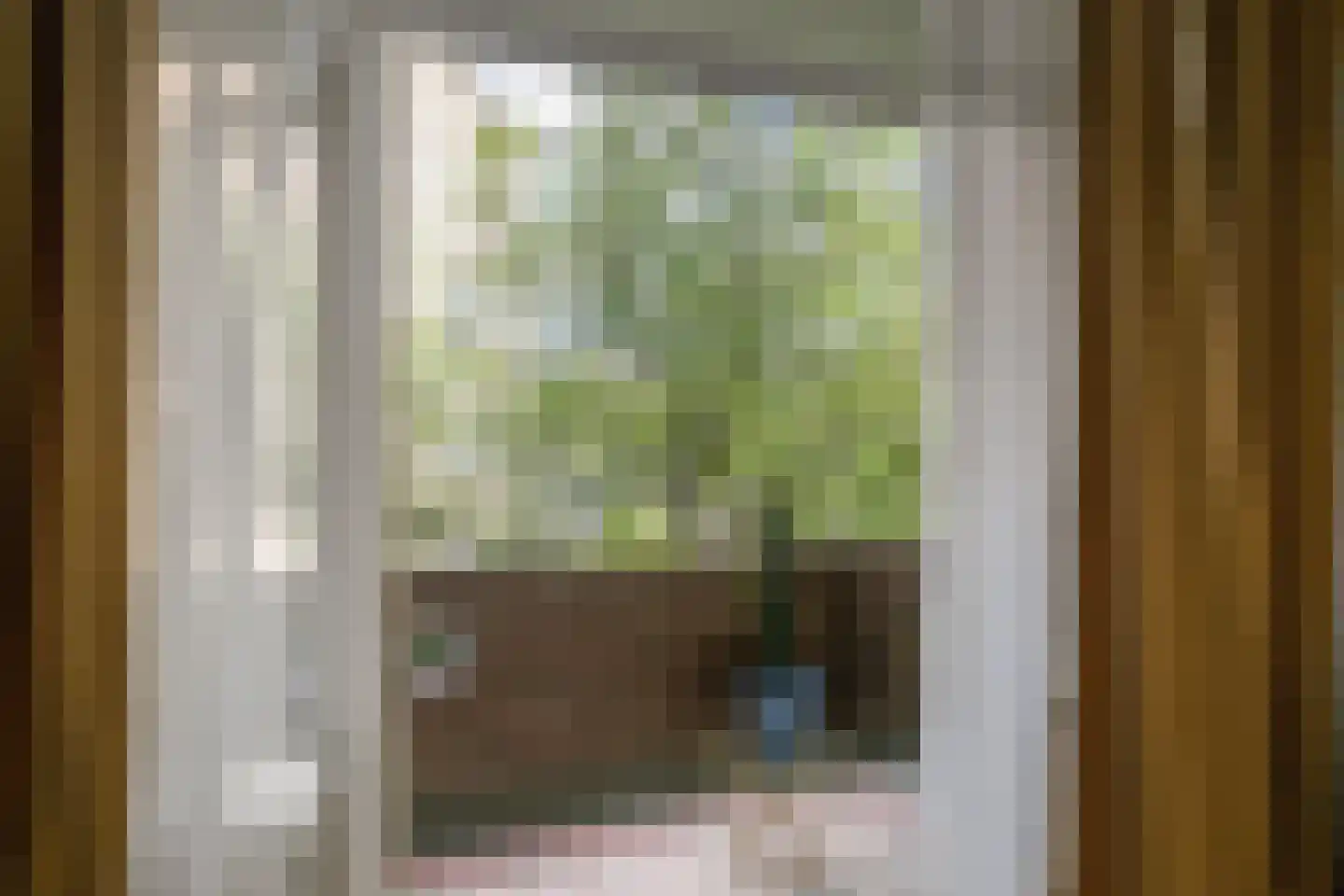 Julianalaan 72 B Schiedam thumbnail 15