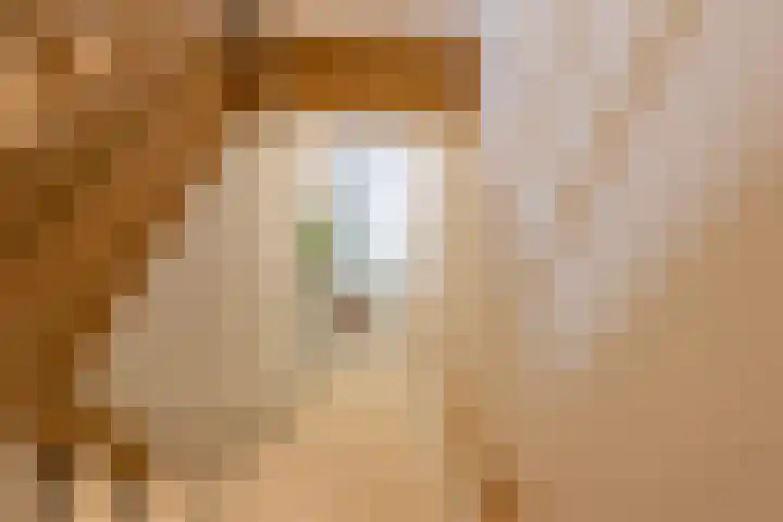 Julianalaan 72 B Schiedam thumbnail 17