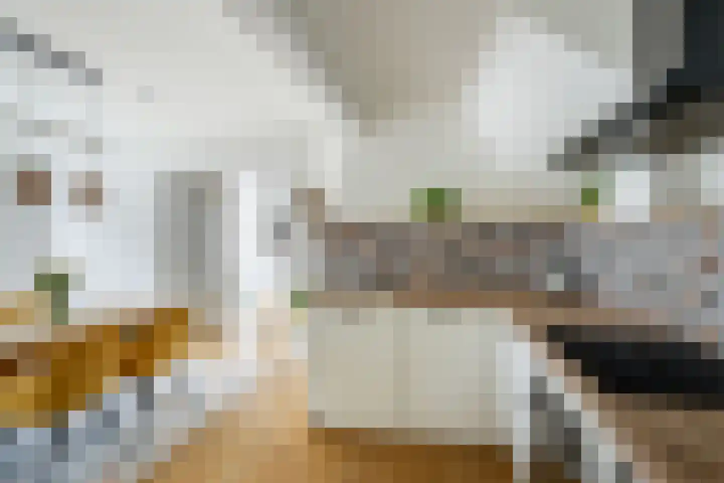 Julianalaan 72 B Schiedam thumbnail 18