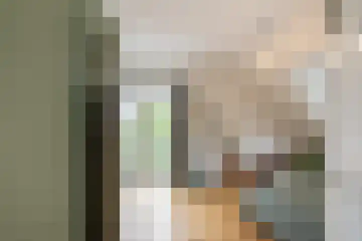 Julianalaan 72 B Schiedam thumbnail 20