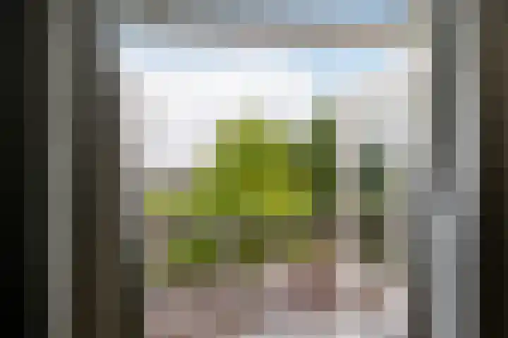 Julianalaan 72 B Schiedam thumbnail 21