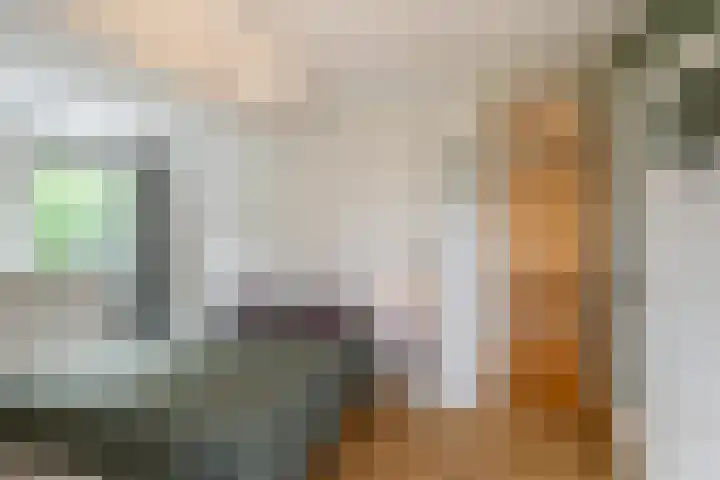 Julianalaan 72 B Schiedam thumbnail 25