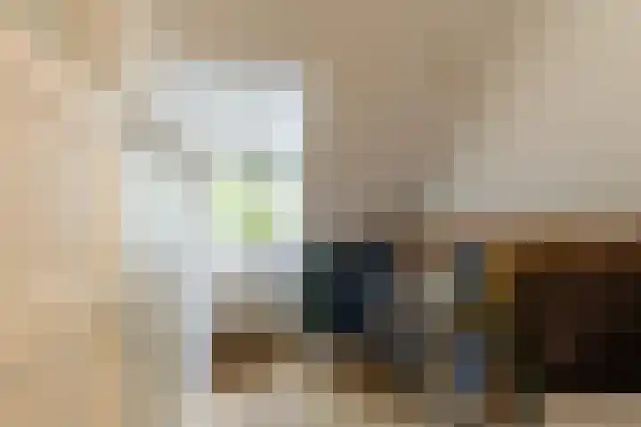 Julianalaan 72 B Schiedam thumbnail 27