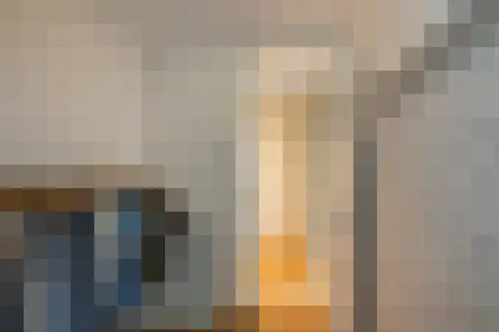 Julianalaan 72 B Schiedam thumbnail 28