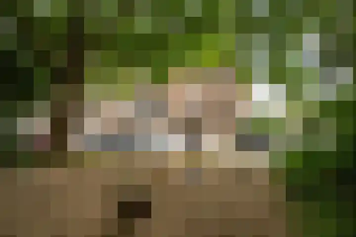 Julianalaan 72 B Schiedam thumbnail 31