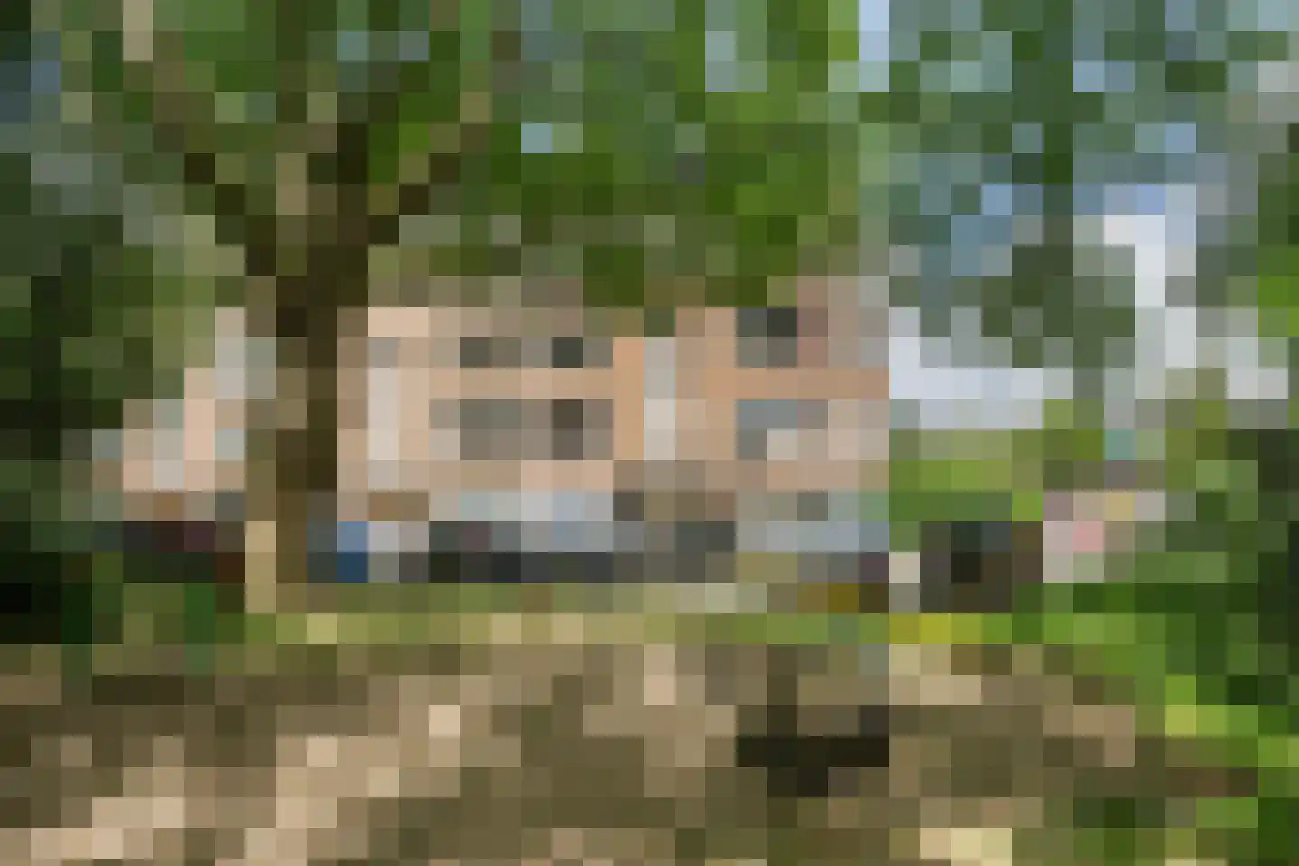 Julianalaan 72 B Schiedam thumbnail 33