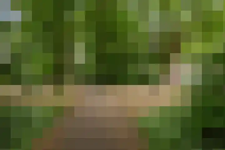 Julianalaan 72 B Schiedam thumbnail 33