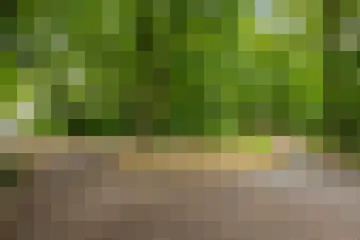 Julianalaan 72 B Schiedam thumbnail 34