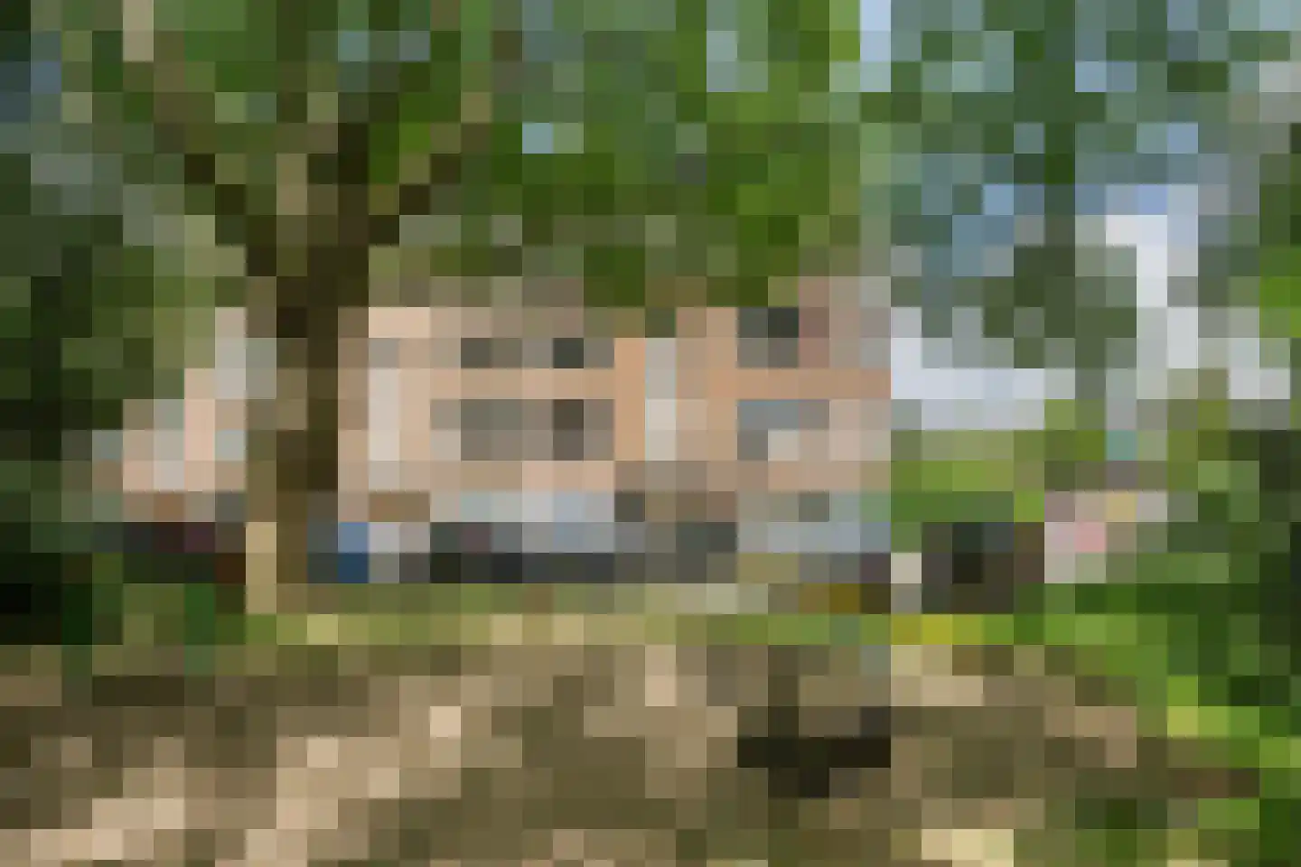 Julianalaan 72 B Schiedam thumbnail 34