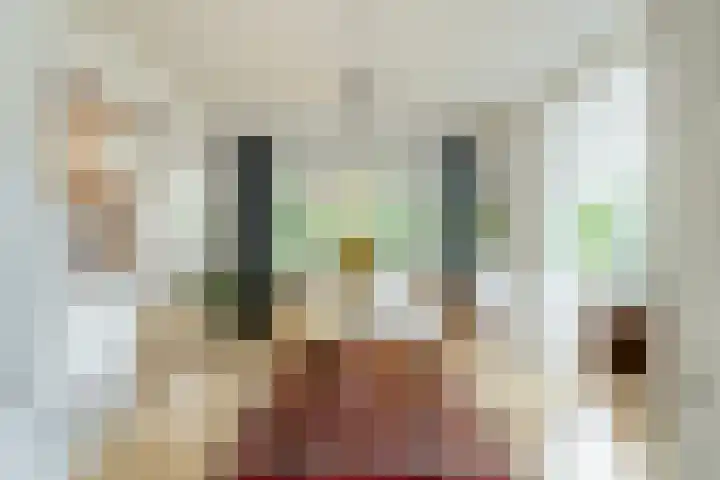 Julianalaan 72 B Schiedam thumbnail 4