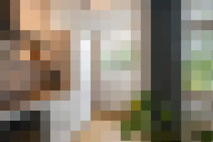 Julianalaan 72 B Schiedam thumbnail 6