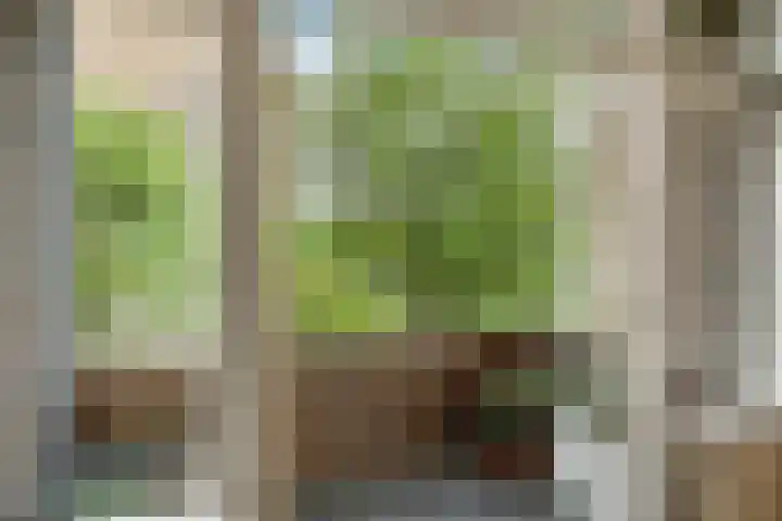 Julianalaan 72 B Schiedam thumbnail 7