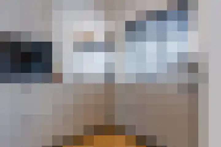 Julianalaan 72 Oosterhout thumbnail 10