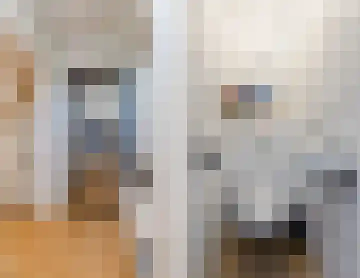 Julianalaan 72 Oosterhout thumbnail 13