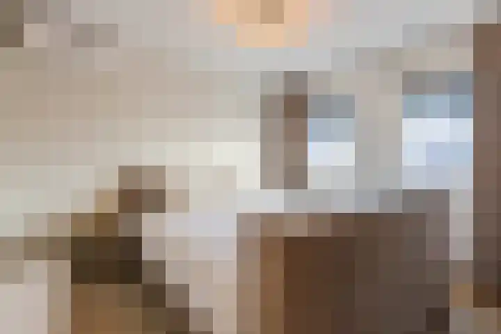 Julianalaan 72 Oosterhout thumbnail 15
