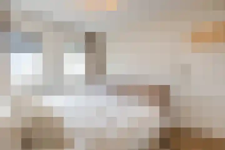 Julianalaan 72 Oosterhout thumbnail 16