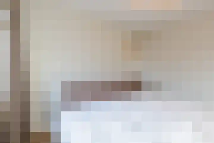 Julianalaan 72 Oosterhout thumbnail 17